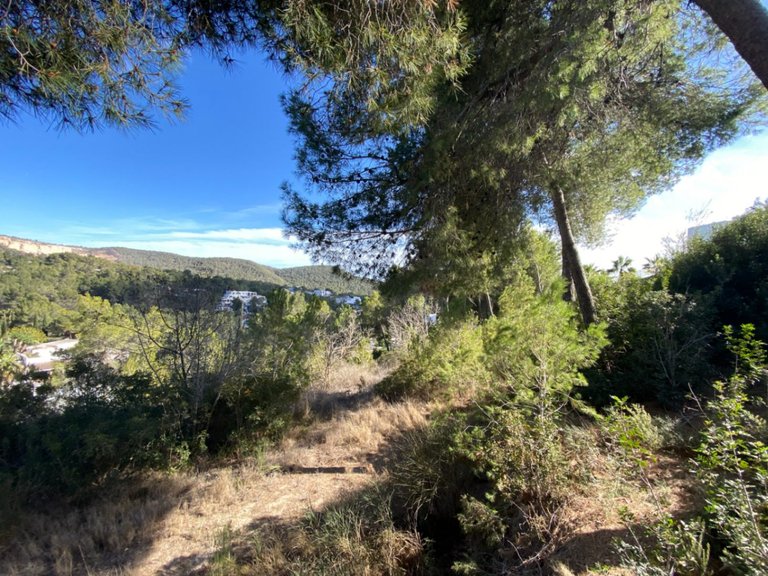 Plot for Sale in Santa Eulalia Del Río, Balearic Islands 4