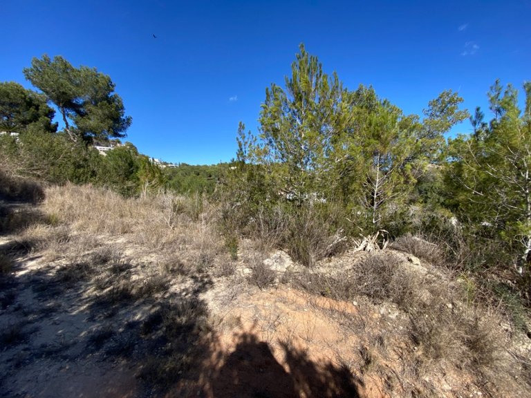 Plot for Sale in Santa Eulalia Del Río, Balearic Islands 6