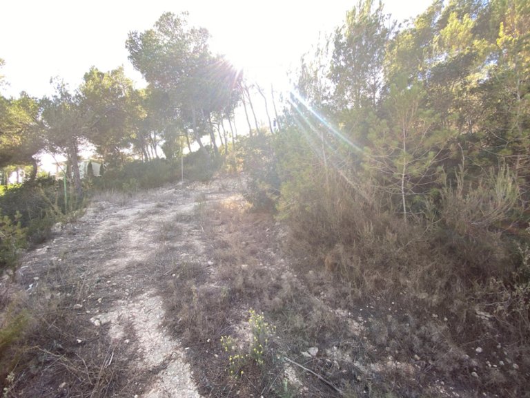 Plot for Sale in Santa Eulalia Del Río, Balearic Islands 8