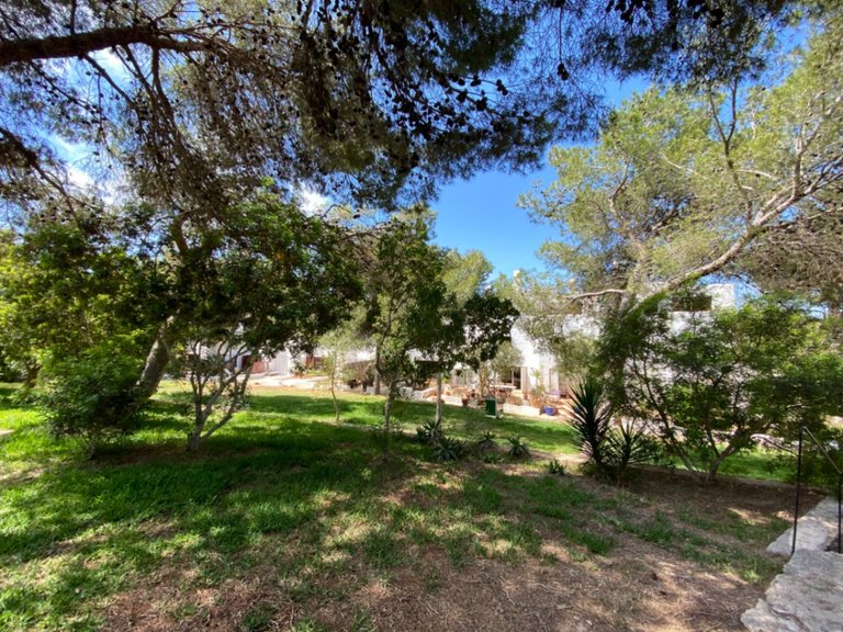 Villa for Sale in Ibiza, Balearic Islands 3