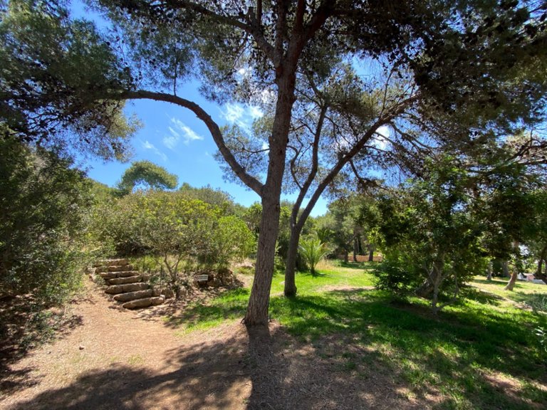 Villa for Sale in Ibiza, Balearic Islands 27