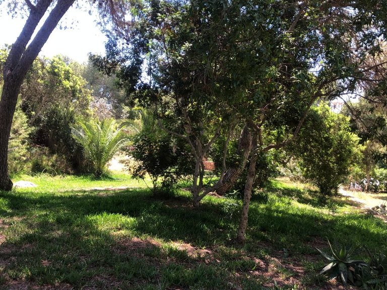 Villa for Sale in Ibiza, Balearic Islands 29