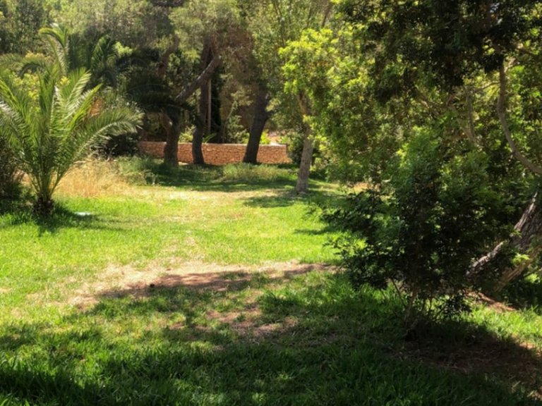 Villa for Sale in Ibiza, Balearic Islands 31