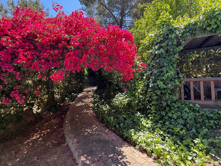 Villa for Sale in Sant Josep De Sa Talaia, Balearic Islands 7