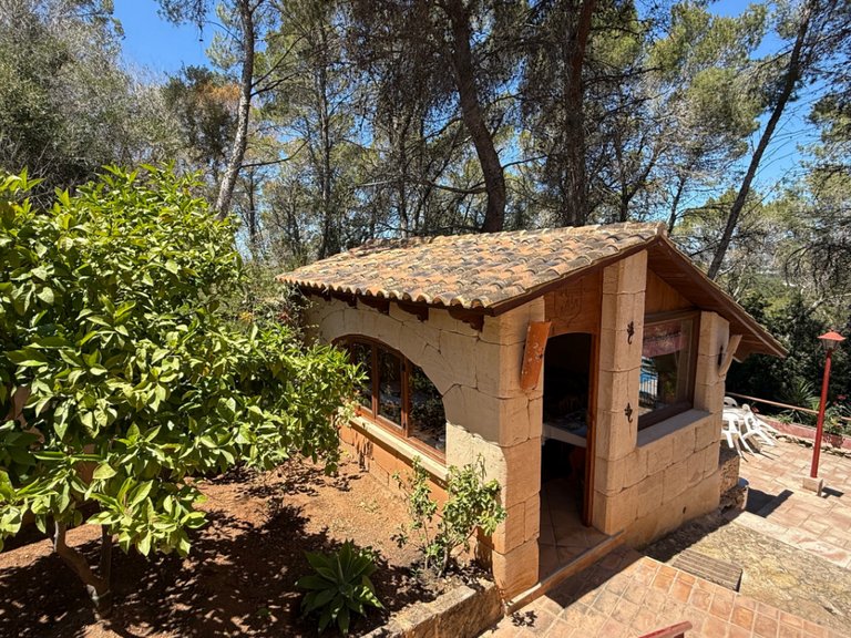 Villa for Sale in Sant Josep De Sa Talaia, Balearic Islands 11