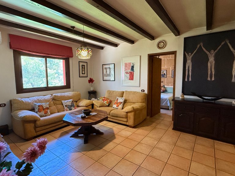 Villa for Sale in Sant Josep De Sa Talaia, Balearic Islands 21