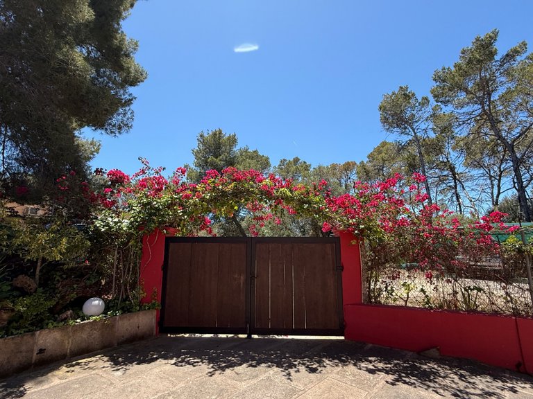 Villa for Sale in Sant Josep De Sa Talaia, Balearic Islands 15