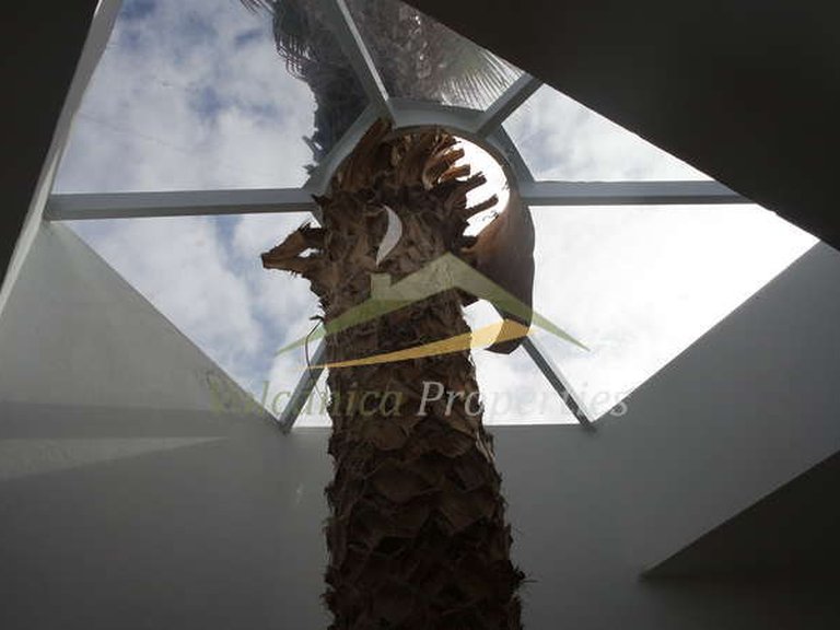 Commercial for Sale in Haría, Las Palmas 21