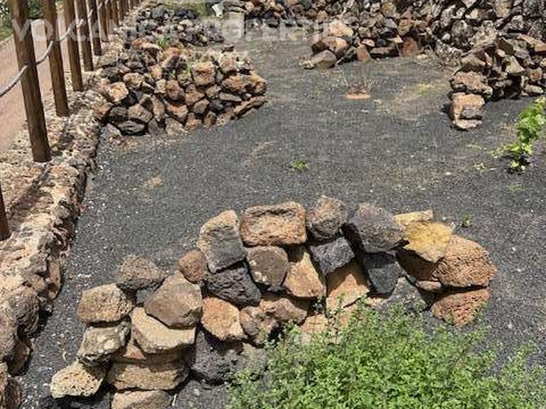 Plot for Sale in Valles, Los, Las Palmas 5