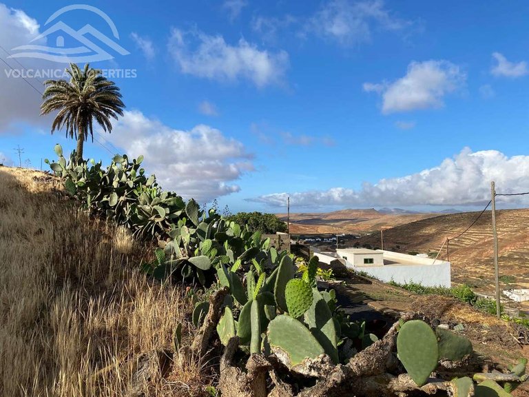 Plot for Sale in Valles, Los, Las Palmas 7