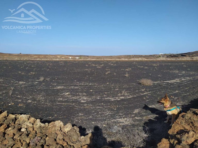 Plot for Sale in Tinajo, Las Palmas 2