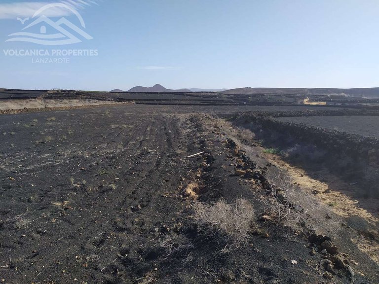 Plot for Sale in Tinajo, Las Palmas 5