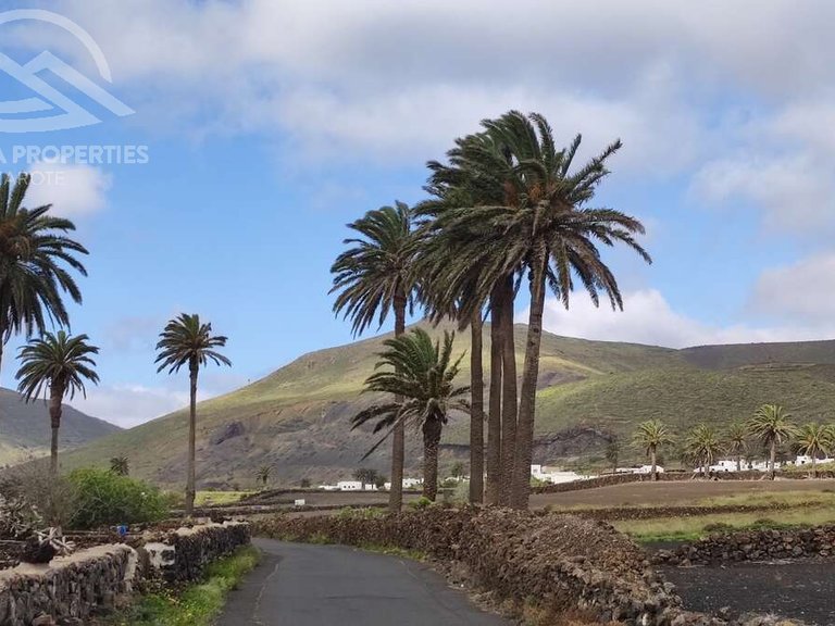 Plot for Sale in Haría, Las Palmas 13