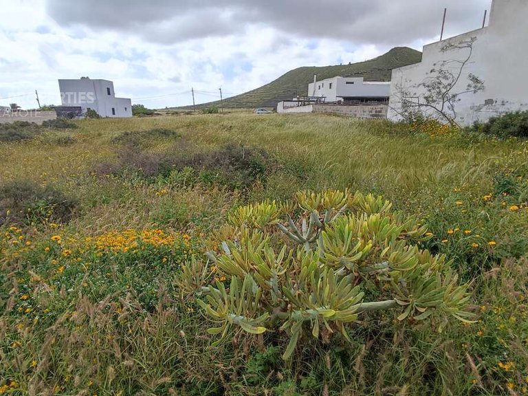 Plot for Sale in Haría, Las Palmas 6