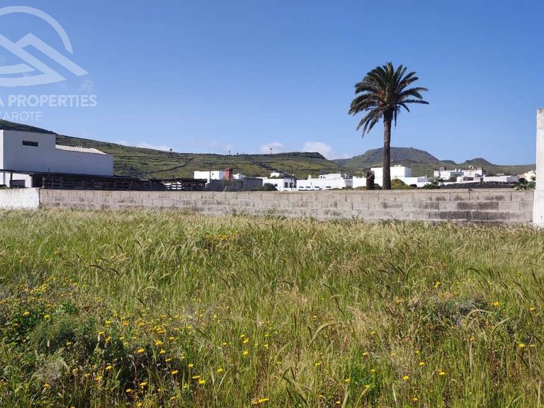 Plot for Sale in Haría, Las Palmas 7
