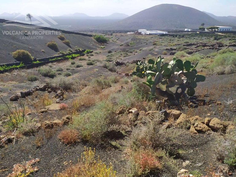 Plot for Sale in Geria, La, Las Palmas 21