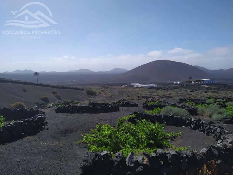 Plot for Sale in Geria, La, Las Palmas 23