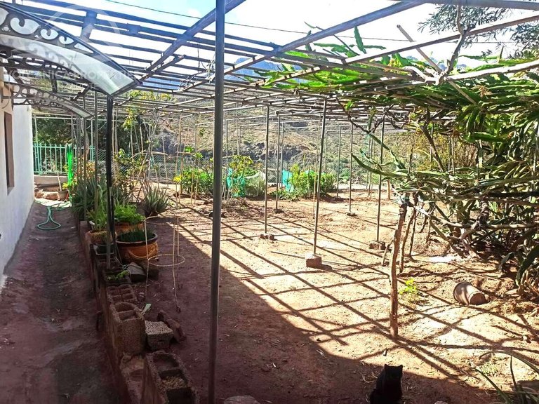 Villa for Sale in Rosiana, Las Palmas 36