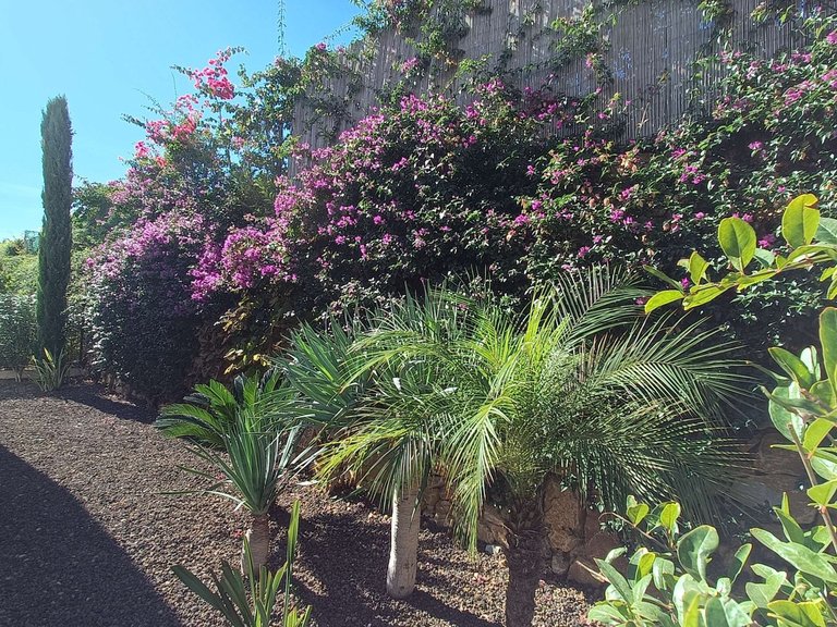 Villa for Sale in La Finca Golf And Spa Resort, Alicante 44