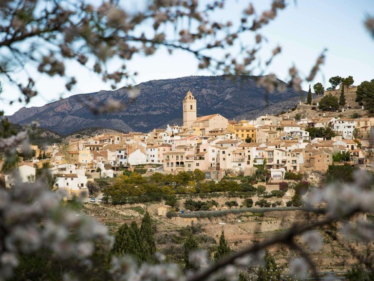 Villa for Sale in Polop, Alicante 15