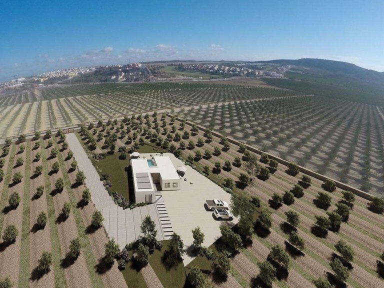 Villa for Sale in La Finca Golf And Spa Resort, Alicante 2