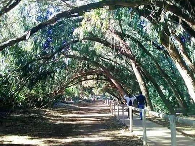 Apartment for Sale in Torrevieja, Alicante 14