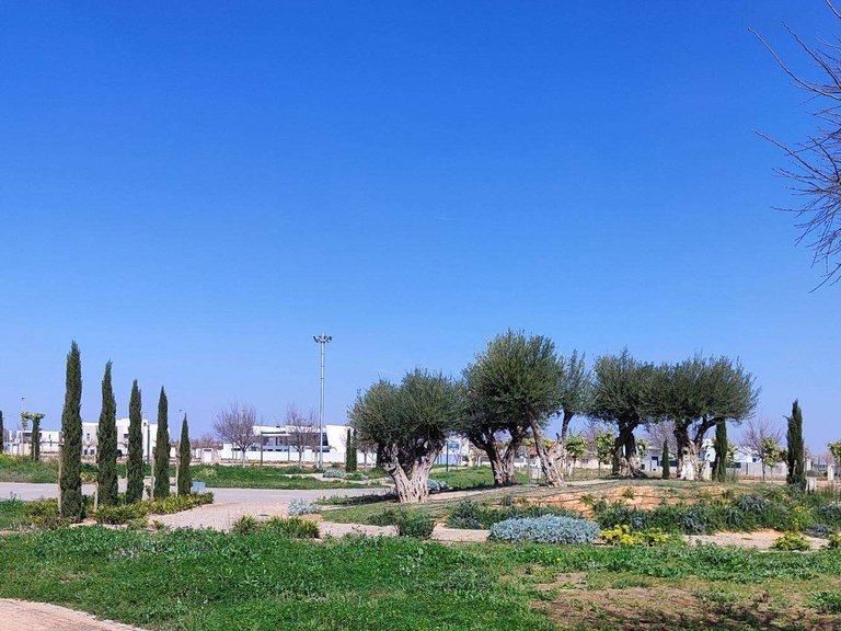 Apartment for Sale in Torre Pacheco, Murcia 14