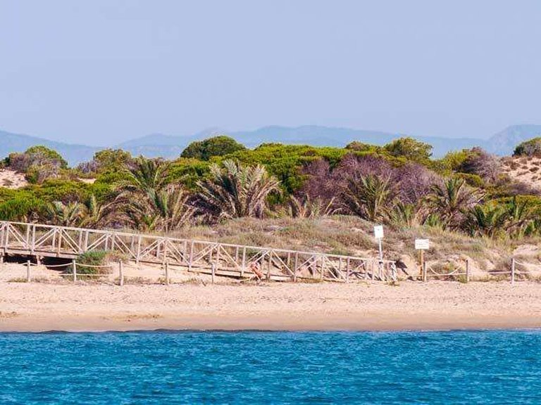 Apartment for Sale in Guardamar Del Segura, Alicante 18