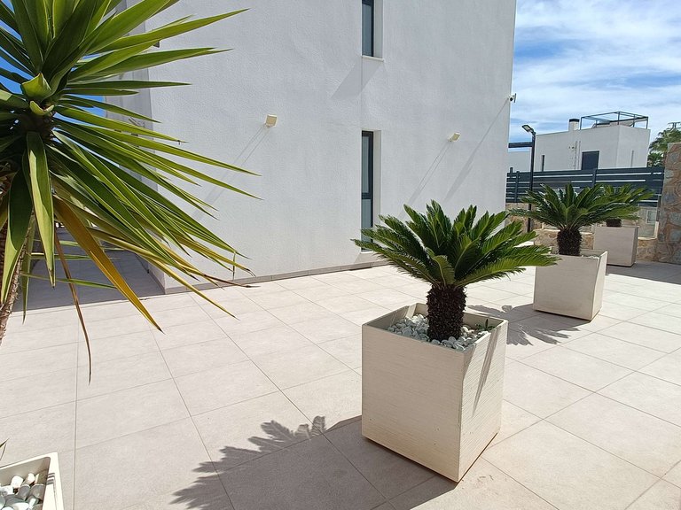 Villa for Sale in Inland Algorfa, Alicante 42