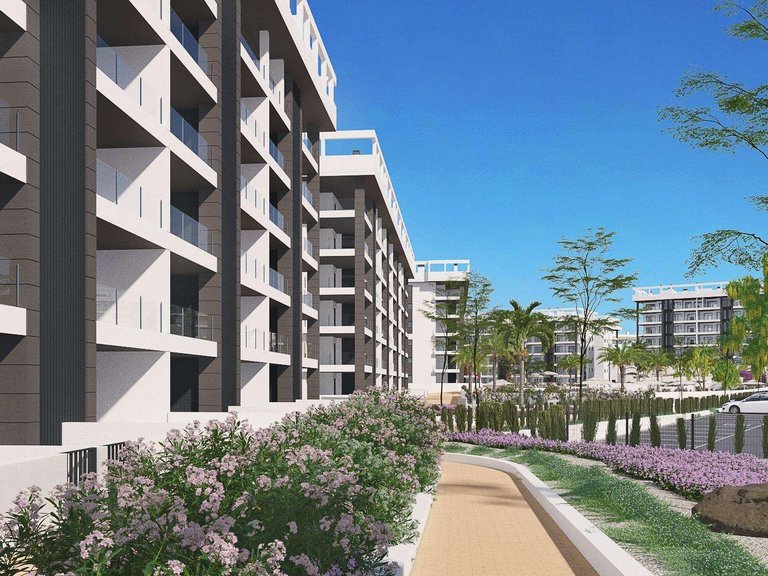 Apartment for Sale in Torrevieja, Alicante 8