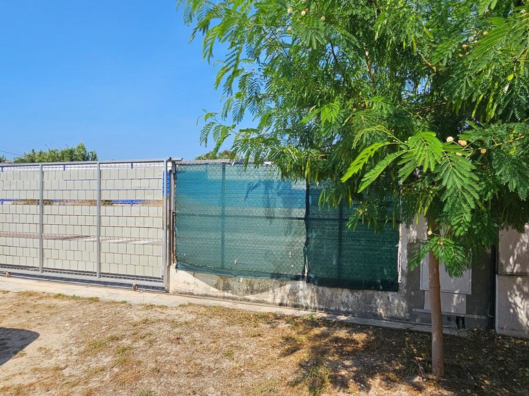 Villa for Sale in Rafalcaid, Gandia,, Valencia 3