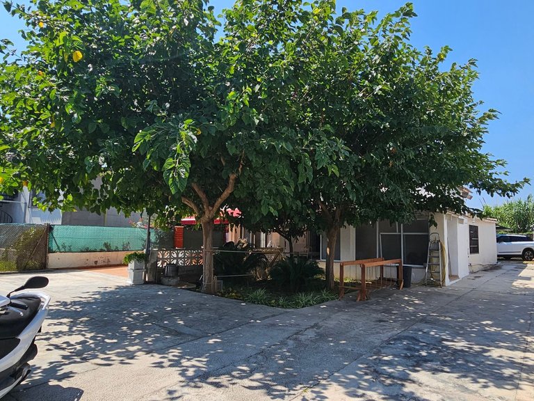 Villa for Sale in Rafalcaid, Gandia,, Valencia 4