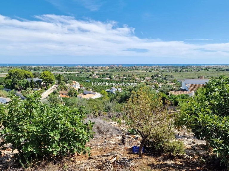 Plot for Sale in Oliva, Valencia 3