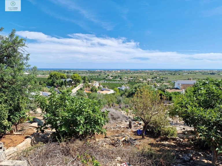 Plot for Sale in Oliva, Valencia 5