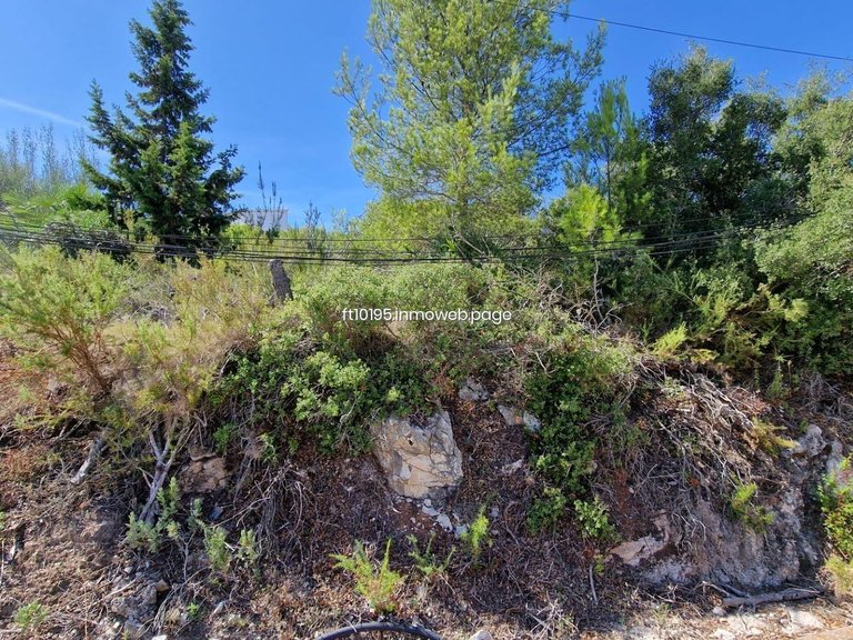 Plot for Sale in Oliva, Valencia 10
