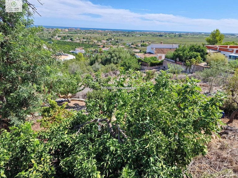 Plot for Sale in Oliva, Valencia 11