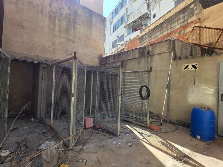 Commercial for Sale in Gandia, Valencia 6