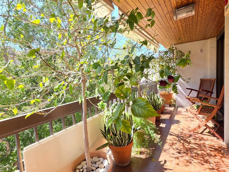 Apartment for Sale in Gandia, Valencia 16