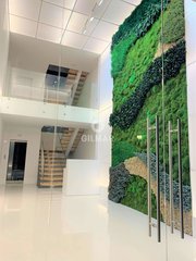Commercial for Rent in Madrid, Madrid