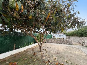 Apartment for Sale in Llucmacanes, Menorca