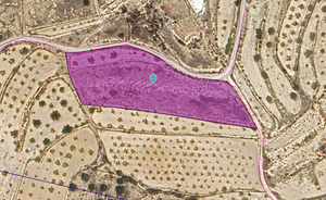 Plot for Sale in Yecla, Alicante