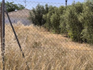 Plot for Sale in Caudete, Albacete
