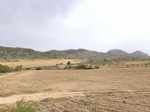 Plot for Sale in Yecla, Murcia